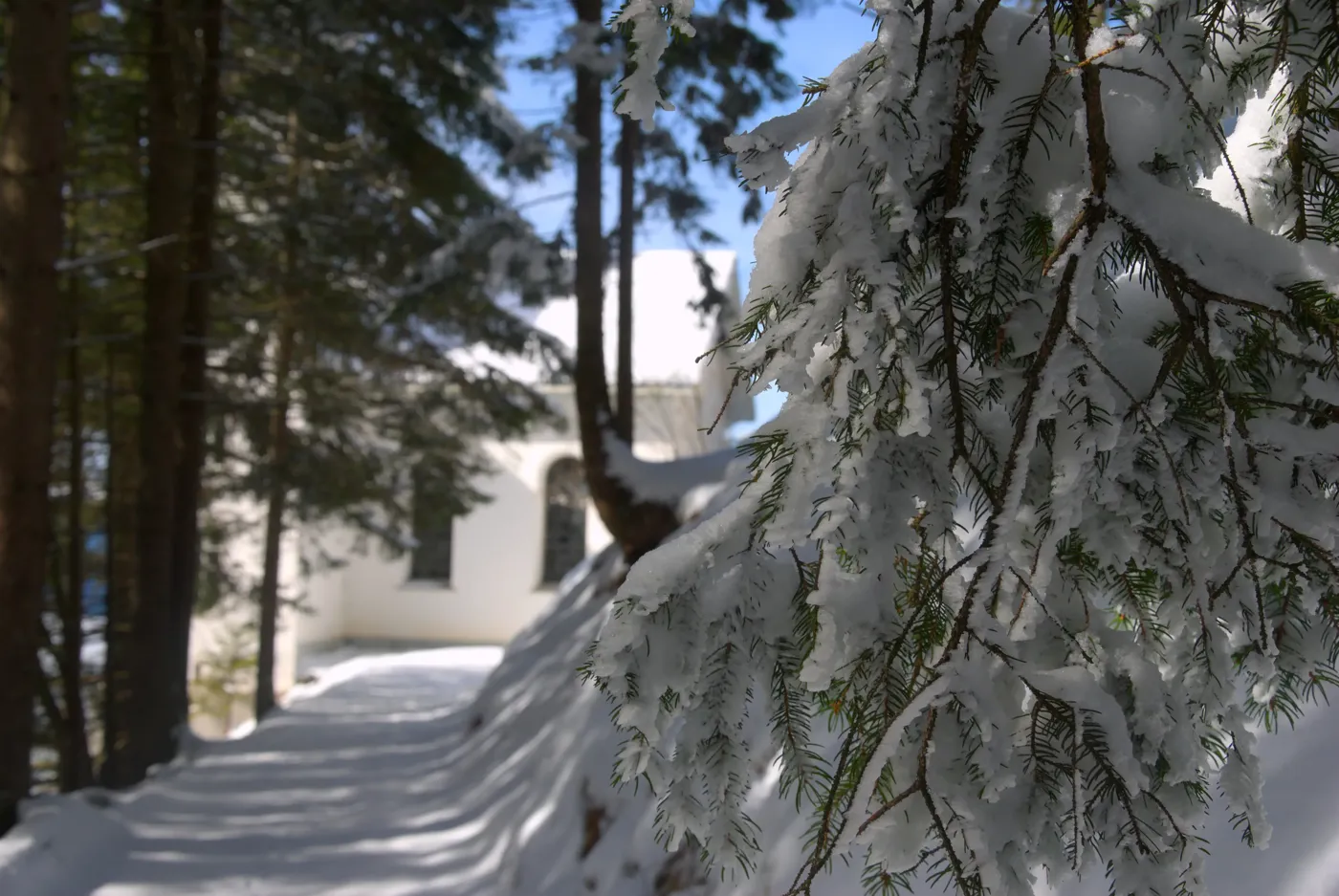 Schneeschuhwandern auf dem Wirzweli