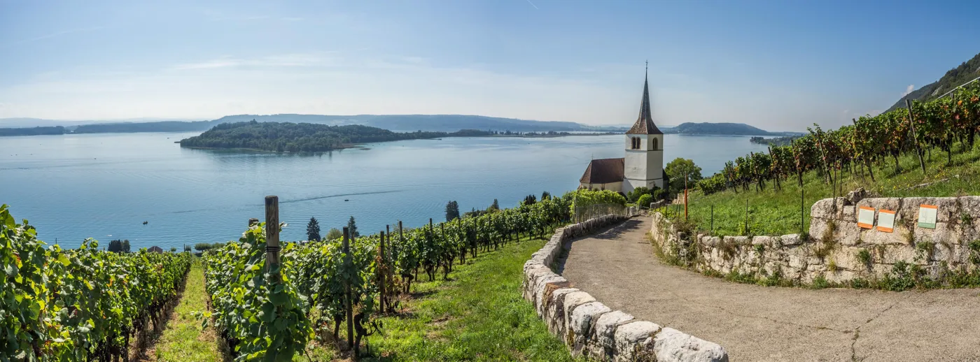Bielersee Kirche Ligerz