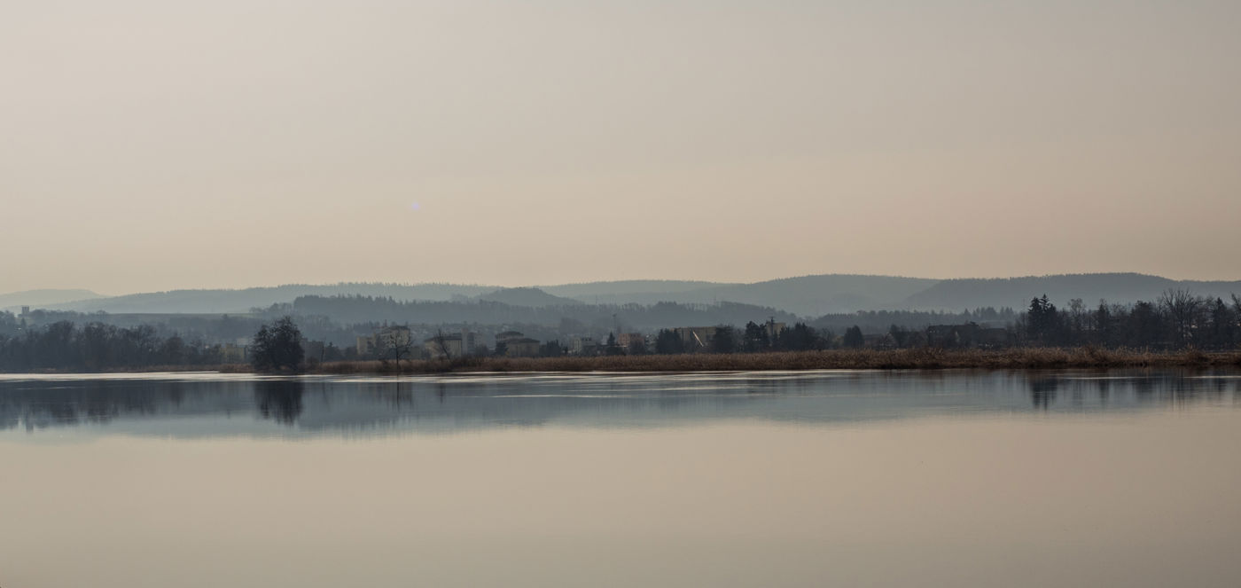 Der Klingnauer Stausee: Eldorado für Vogelliebhaber