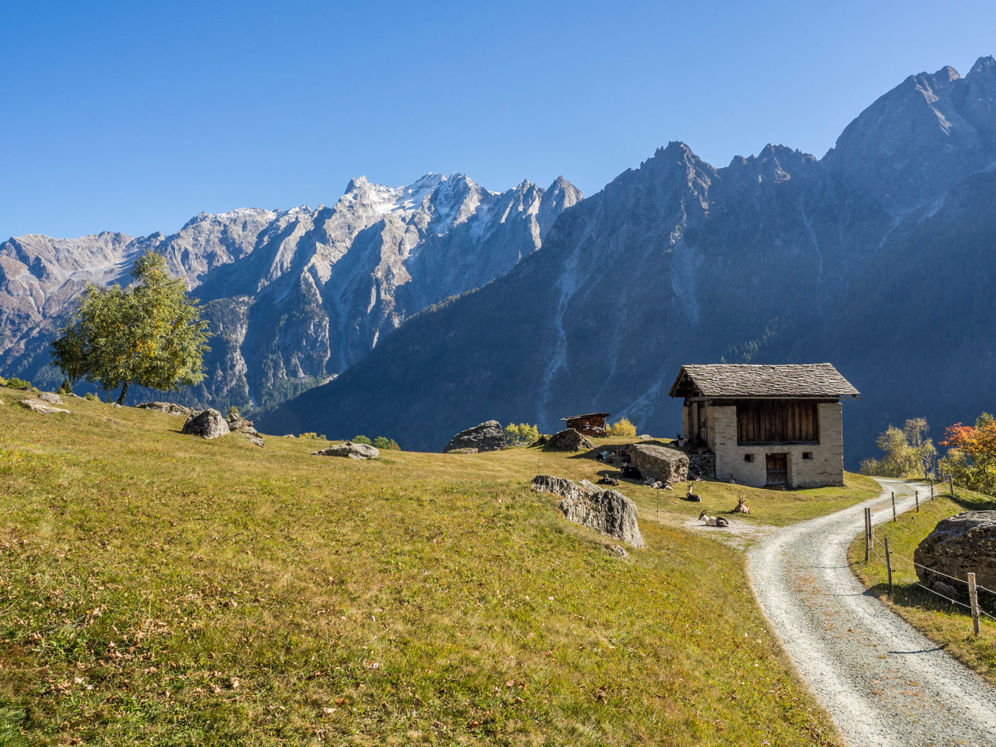 Alpe Durbegia