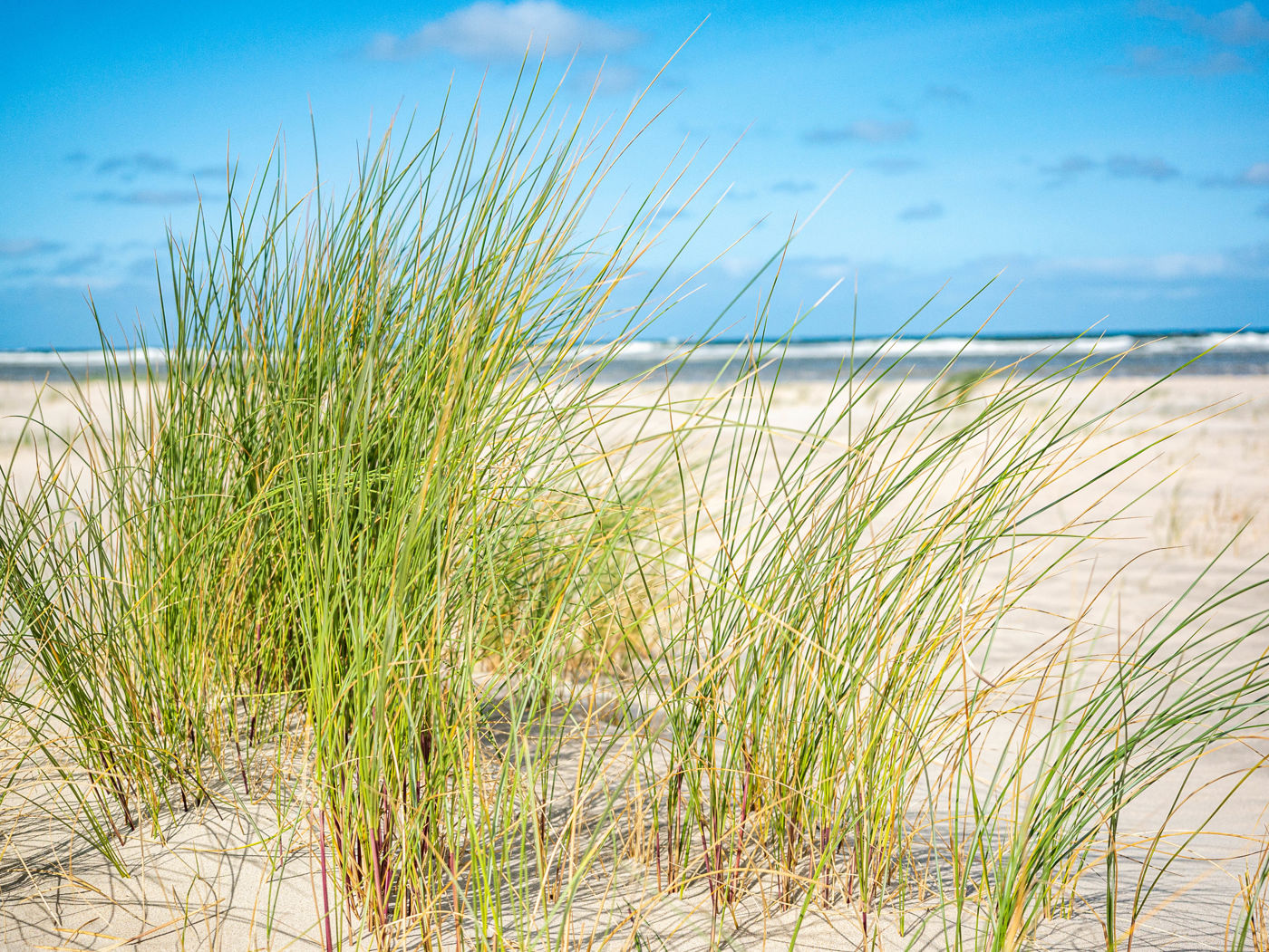 Wandern auf Norderney: zum Schiffswrack am Ostende