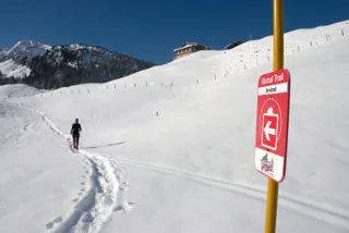 Der Arvitrail Wirzweli