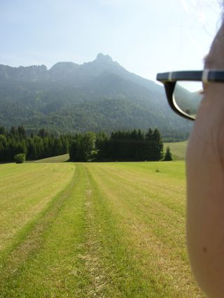 Erfürchtiger Blick auf den Säuling von Ferne