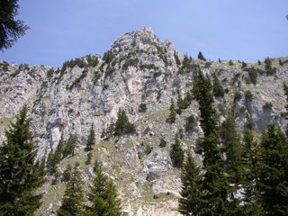 Blick vom Säulinghaus auf den Steilaufschwung zur Säulingwiese