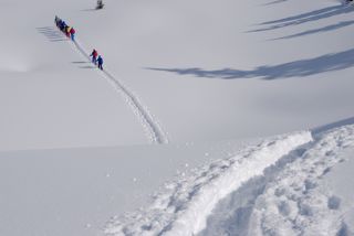 Die Karawane zieht weiter