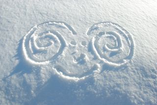 Ein Mufflon hat seine Spur auf dem Wirzweli hinterlassen