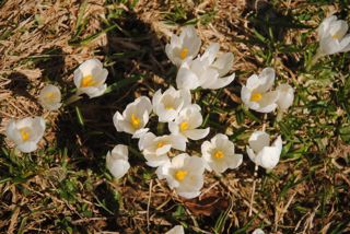 Frühling ist da! Auf dem Spital