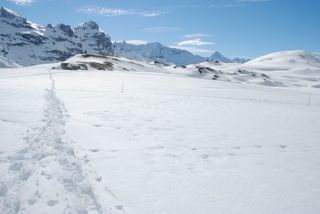 Hochebene Melchsee-Frutt