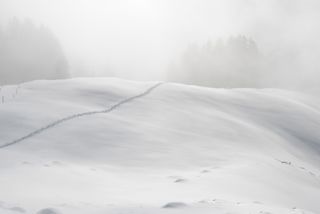 Nebelschwaden am Jänzi