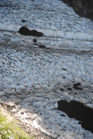 Schneefeld Enzianhütte