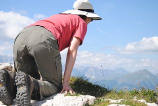 Biene inspiziert den Abgrund am Col Rean