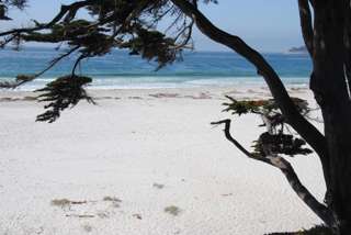 Typisch Kalifornien: Sommer, Sonne, Strand
