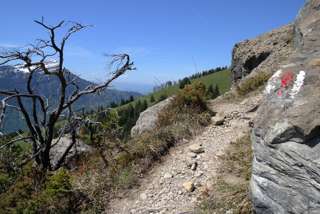 Wildspitz – Kanarisches Feeling am Goldauer Bergsturz