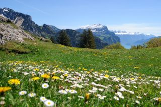 Der Federispitz – versteckte Wege, lange Aufstiege und schöne Aussichten