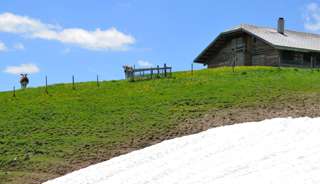 Wir werden beobachtet... Wanderung auf den Garten