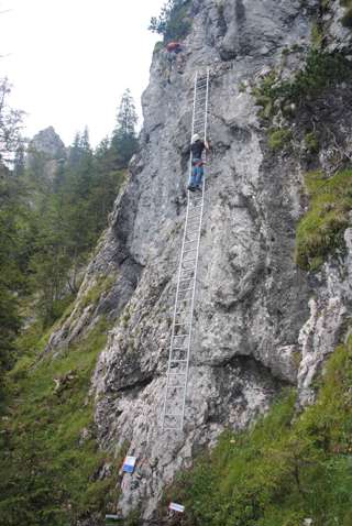 Startleiter zum Tegelbergsteig