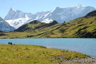 Bachalpsee mit Finsteraarhorn Schynige Platte Faulhorn First