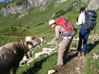 Steinbocktour (3): Über Schrofenpass zur Rappenseehütte