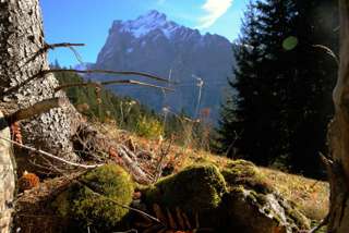 So gut wie nie wird der Blick auf's Wetterhorn verdeckt