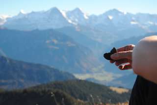 Niederhorn von hinten – eine sonnige Kammwanderung im Berner Oberland