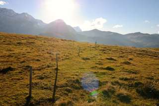 Nach dem Absteig vom Oberlaubhorn geht es über sanfte Wiesen bergab