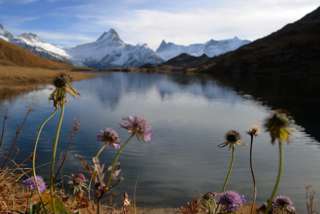 Im Spätherbst sind die Touristenströme am Bachalpsee zum Glück versiegt