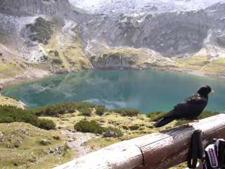 Zaungast an der Coburger Hütte - im Hintergrund der Drachensee
