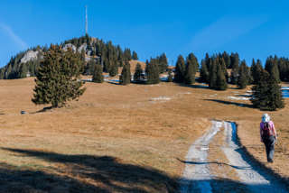 Der Gipfel der Hornflue in Sicht