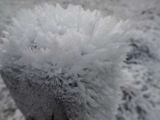 Der Tag beginnt frostig