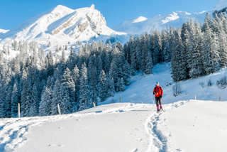 Endlich wieder Sonne als wir uns Niederrickenbach nähern