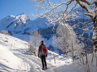 Auf geht's zum Brisenhaus - die weiße Pracht lädt zum Träumen ein