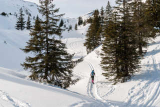 Schibegütsch