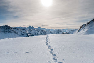 Schneeschuhwanderung auf den Schibegütsch