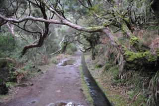 Rechts die Levada, links der Wanderweg