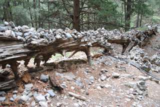 Steinmännchen weisen den Weg in die Samaria Schlucht
