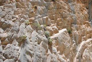 Samaria Schlucht Kreta