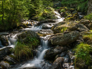 Cort Font Vacarisc - Bach