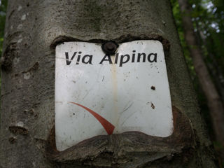 Die Via Alpina: auf dem roten Weg durch Slowenien – Übersicht