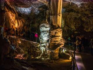 Brillant in der Postojnahöhle