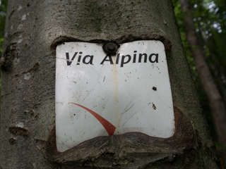 Die Via Alpina: auf dem roten Weg durch Slowenien – Übersicht