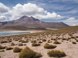 San Pedro de Atacama: Die Lagunas Altiplánicas – ein Ausflug in eine andere Welt