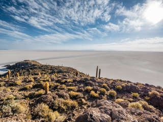 Isla Incahuasi - Kakteeninsel im Salar de Uyuni