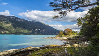 Küstenwanderung Feuerland