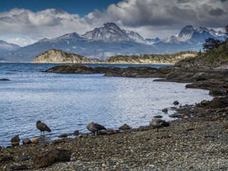 Küstenwanderung am Beagle Kanal