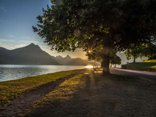 Sonnenaufgang Beckenried Vierwaldstättersee