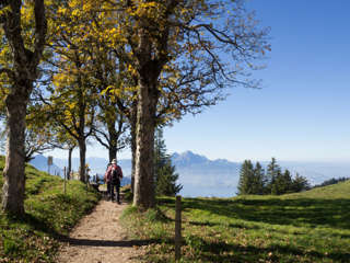 Rigi Blumenpfad