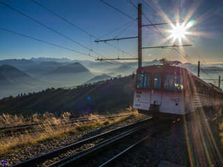 Rigibahn