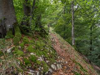 Wanderweg Wasserflue