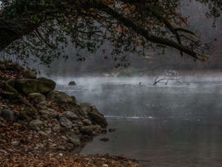 Nebel über der Reuss auf dem Aargauer Weg
