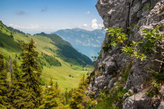 Vom Buochserhorn zum Musenalper Grat: ein Übergang mit Aussicht